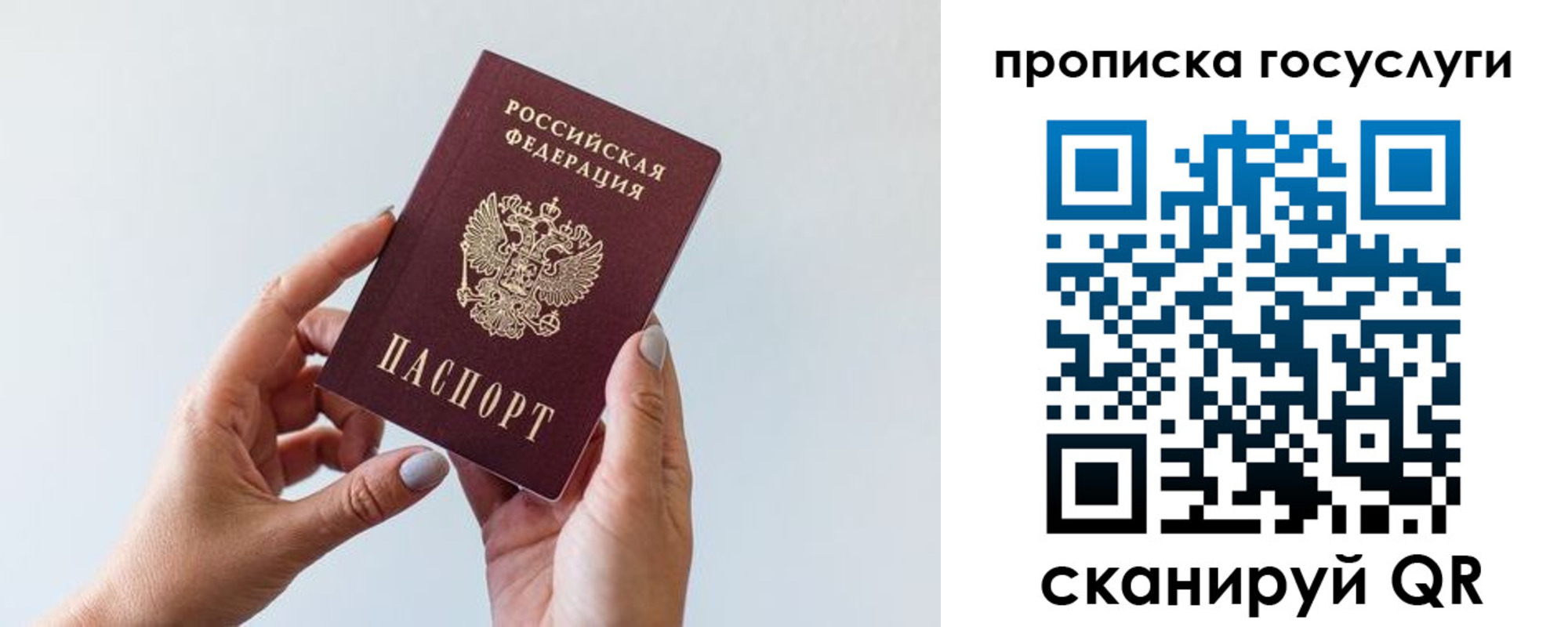 прописка гарантия в Владивостоке